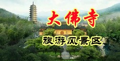 女搞鸡巴网站中国浙江-新昌大佛寺旅游风景区